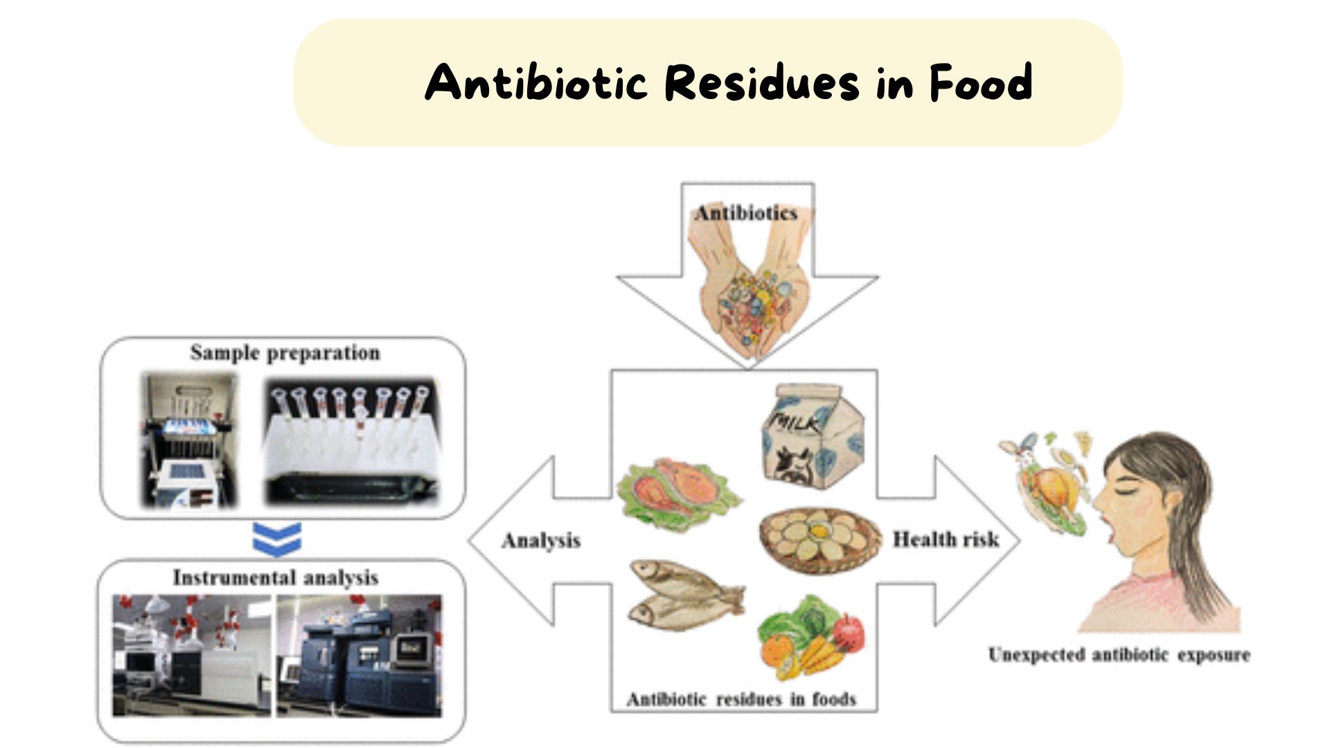 Antibiotic Residues in Food